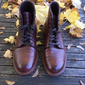 Allen Edmonds Higgins Boot size 11 E